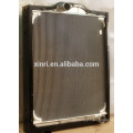 Vietnam Hot Sale Dongfeng TIANLONG Truck Parts Aluminum Radiator 1301N48-010